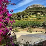 Côté Vignes Cassis