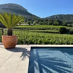Côté Vignes Couette-café Cassis
