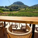 Côté Vignes