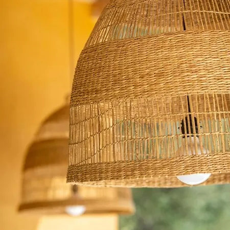 Cote Vignes Κασί