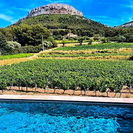 Cote Vignes Bed & Breakfast 4*