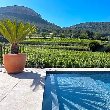 Cote Vignes Bed & Breakfast Cassis