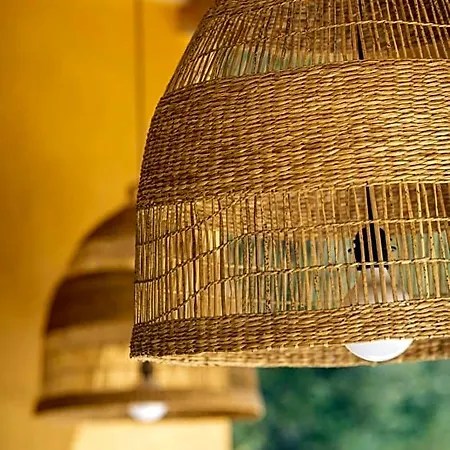 Bed & Breakfast Cote Vignes Cassis