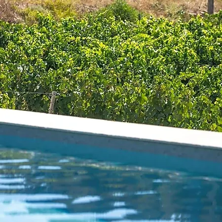 Cote Vignes Bed & Breakfast 4*