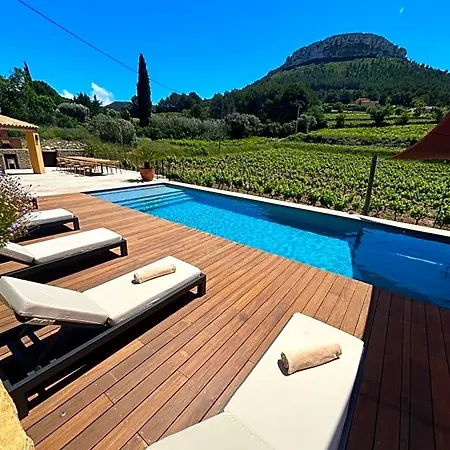 Cote Vignes Bed & Breakfast