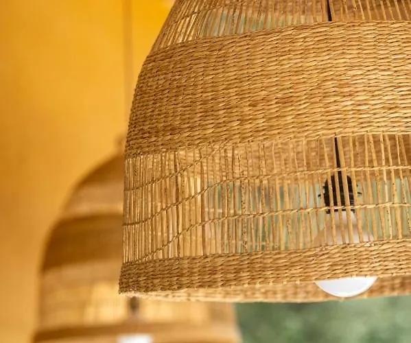 Cote Vignes Каси