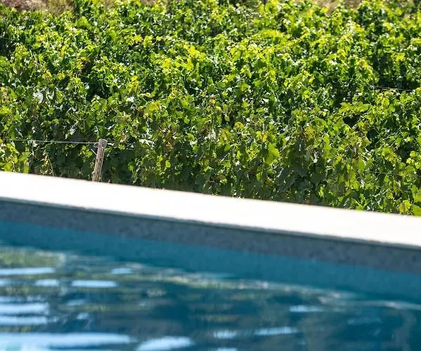 Cote Vignes Каси